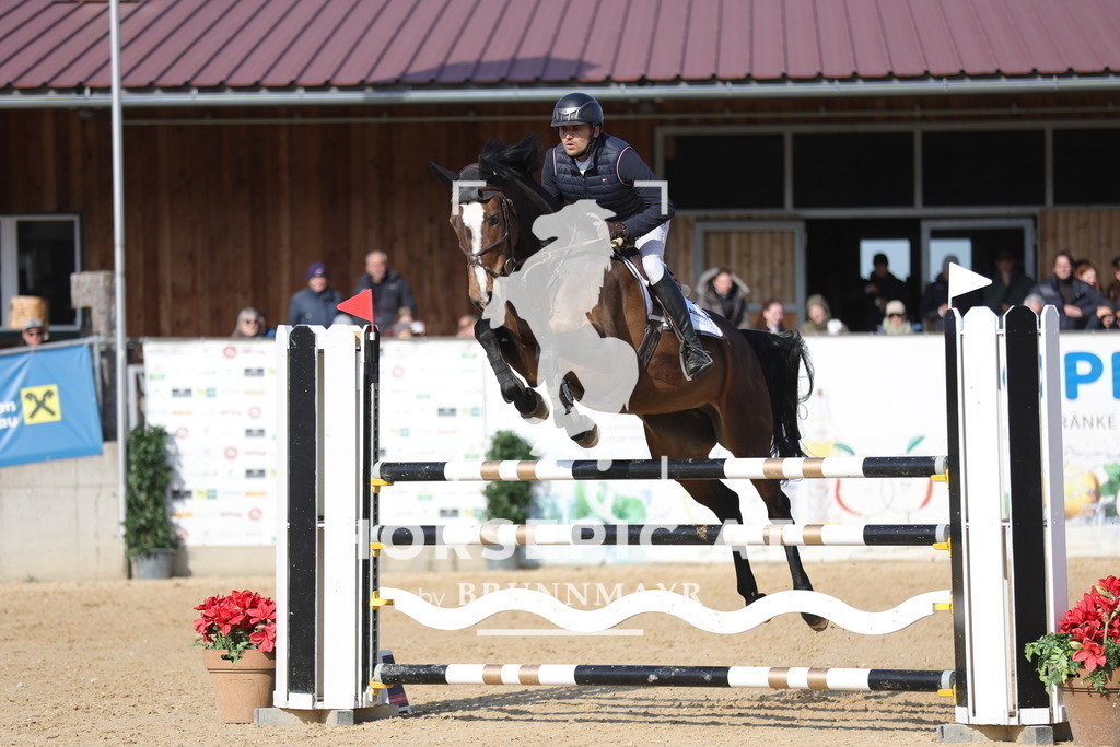 0P6A2685 | Willkommen bei Brunnmayr - Design & Fotografie – Ihrem Spezialisten für Reitturniere und Pferdeveranstaltungen in Oberösterreich, Salzburg und Bayern! Seit über 17 Jahren sind wir leidenschaftlich dabei.