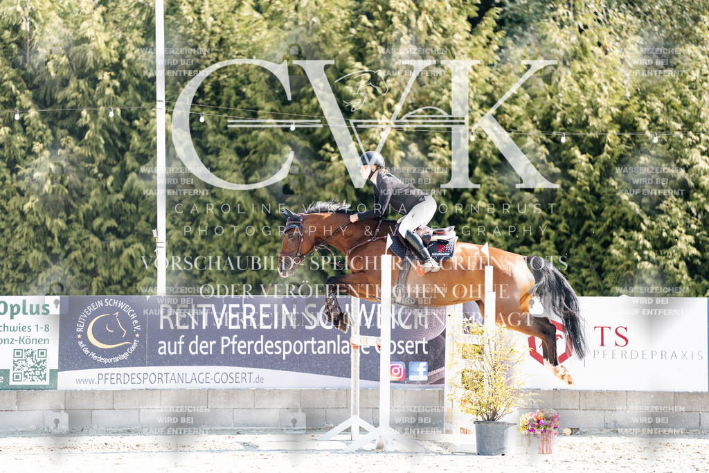 CK902684 | Turnierfotografie Pferdefotografie Trier Rheinland-Pfalz Pferdesport Reitsport Tierfotografie Sportfotografie Pferdevideo Pferdevideografie Equestrianvideography equestrianphotography  - Realisiert mit Pictrs.com