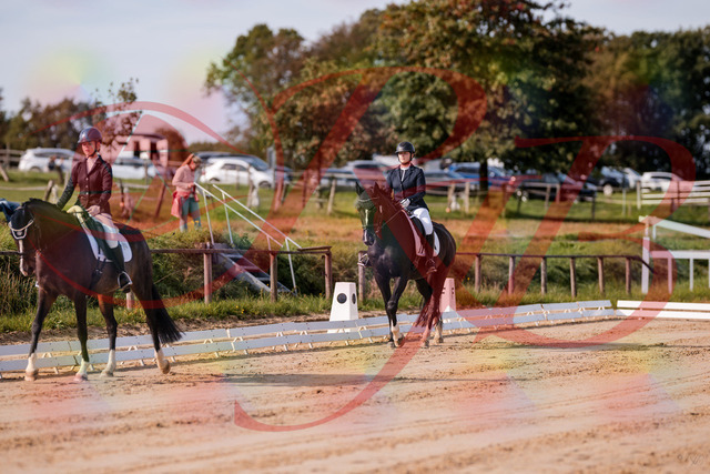 2026_10_03_Siefer-Hof_113234_Z81_78810023 | Professionelle Reitsport-, Turnier- und Eventfotografie von Robert Broda. Galerien mit ausgewählten und bearbeiteten Bildern direkt online ansehen und bestellen.