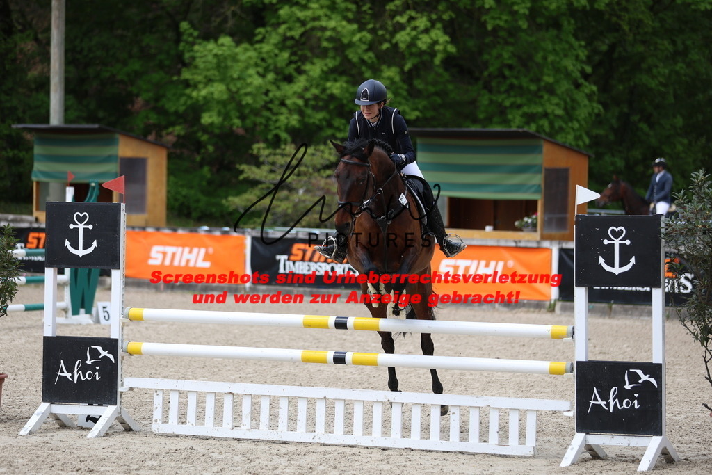 A40A1731 | lmwpictures - Realisiert mit Pictrs.com