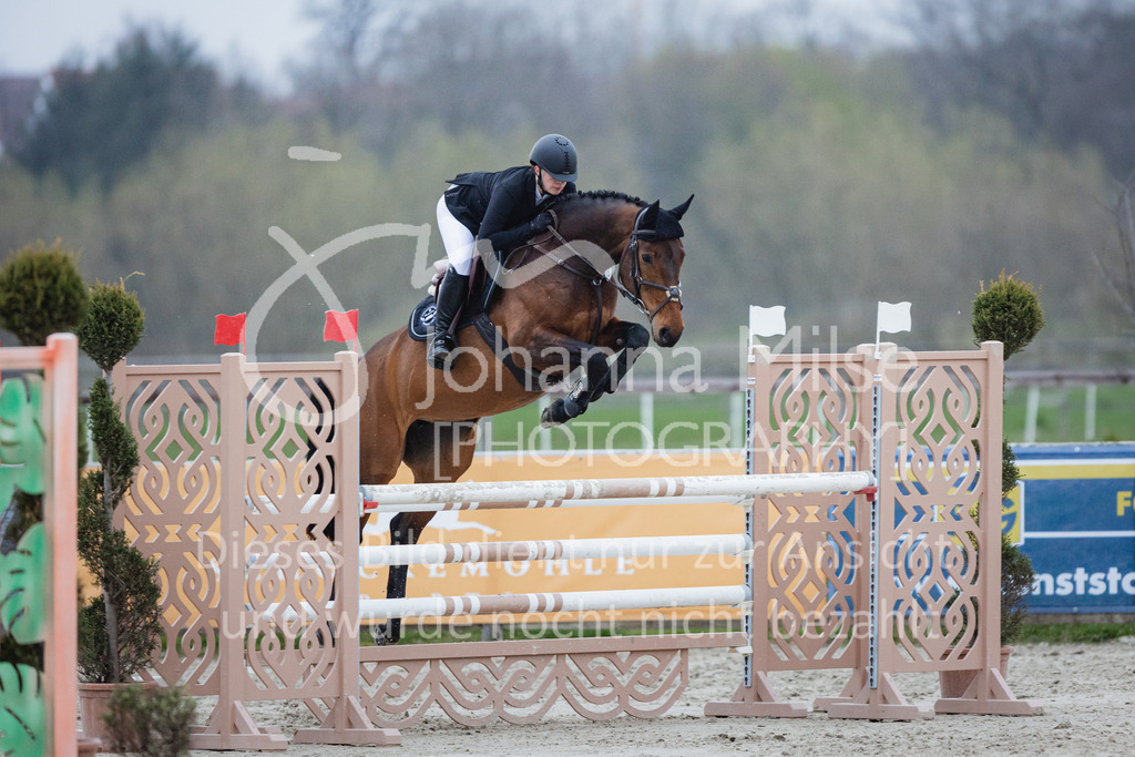 230408_Frühlingsfest_Stil-M-950 | Deine schönsten Turniermomente als professionelle Fotos! Entdecke hochwertige Pferdesport-Fotografie im Online-Shop. Jetzt Fotos finden & bestellen!