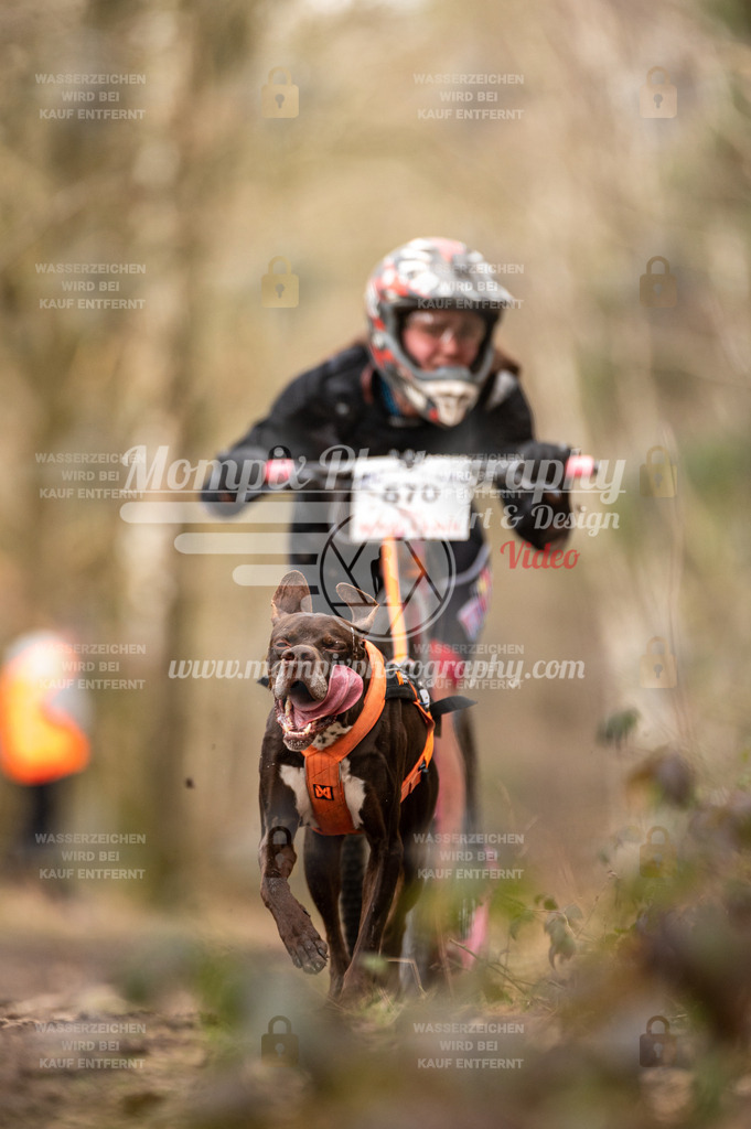 SPA_2023_SAM_Scooter-42 | PayLife