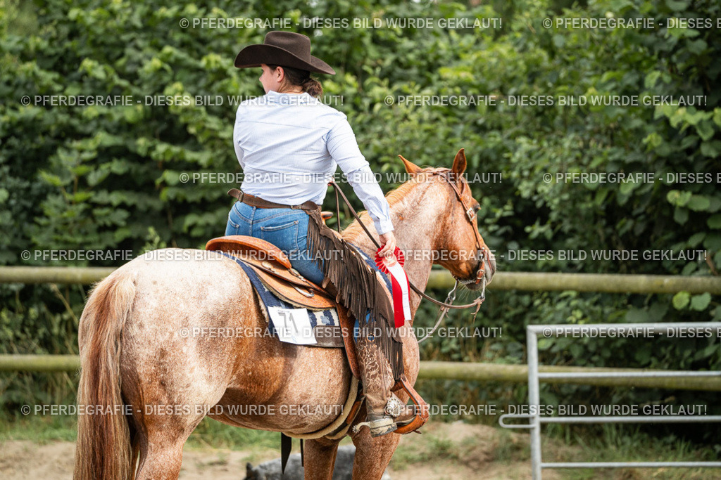 DSC04686 | Pferdegrafie