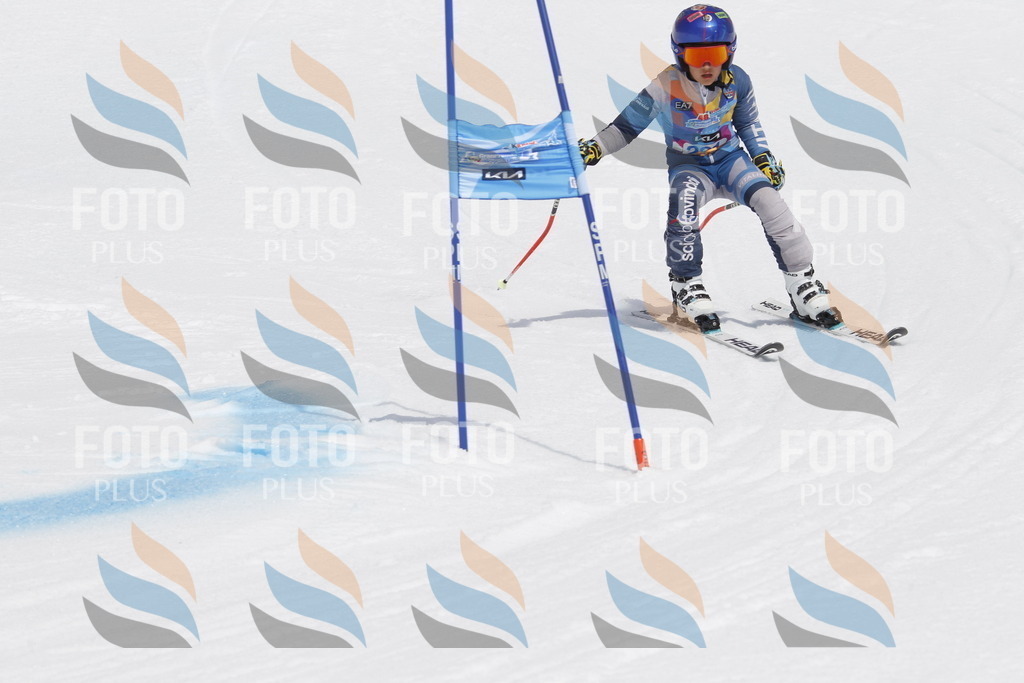 _U3G2390 | holidayphoto