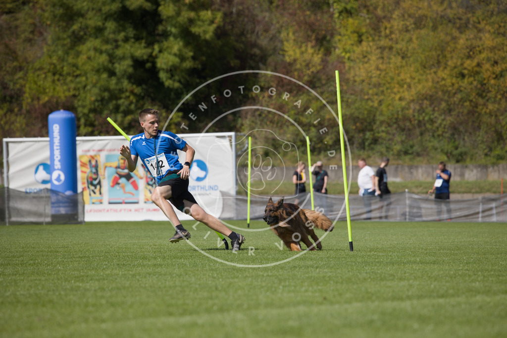 0L8A3044 | Hundefotografie, Tierfotograf, Pfotenfotografie, Fotoshooting Hund, Hunde Portrait, Hundesport, Hundeportraits, Heideshooting, Hunde, Sportfotograf, Hundefotograf, Turnierhundsport, THS,  - Realisiert mit Pictrs.com