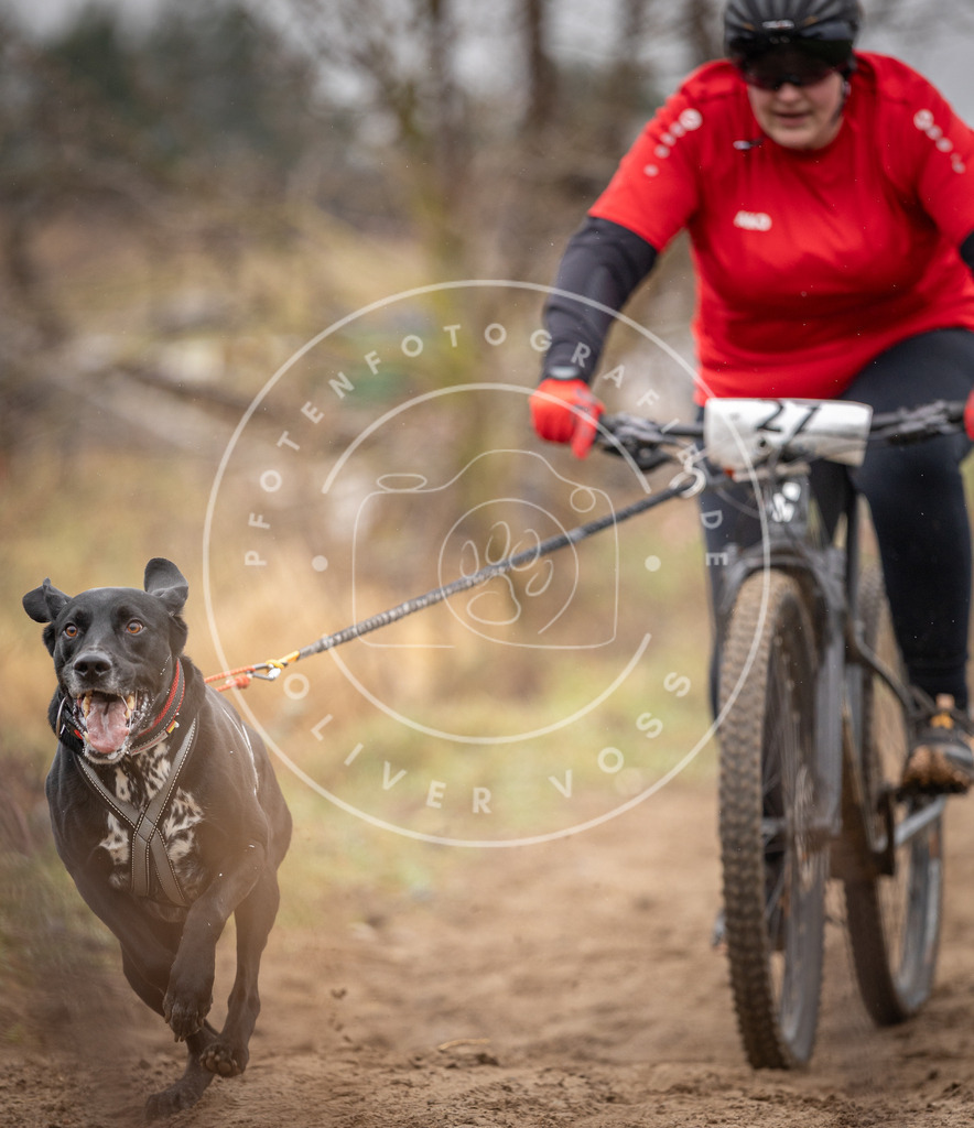 DV3A9035 | Hundefotografie, Tierfotograf, Pfotenfotografie, Fotoshooting Hund, Hunde Portrait, Hundesport, Hundeportraits, Heideshooting, Hunde, Sportfotograf, Hundefotograf, Turnierhundsport, THS,  - Realisiert mit Pictrs.com