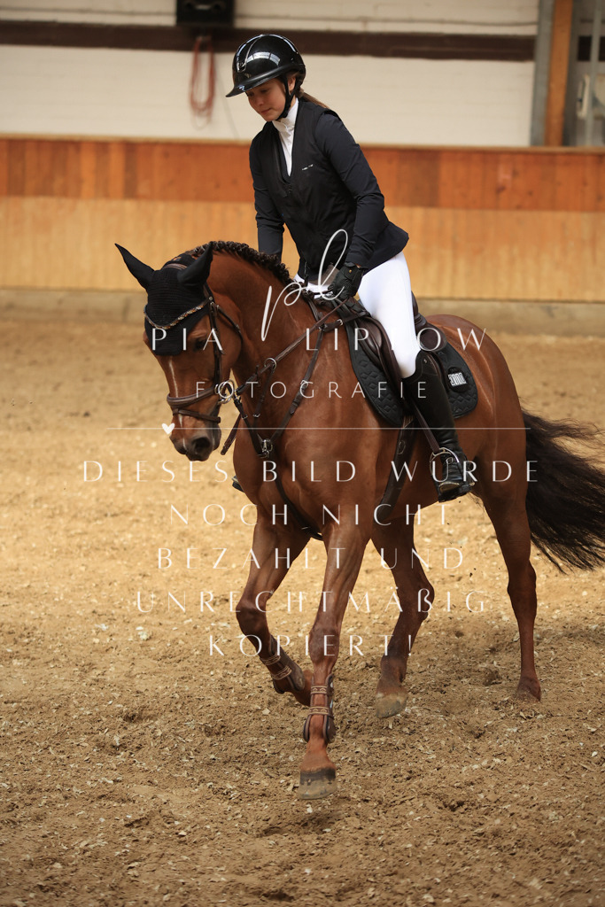 IMGT1342 | pl-fotografie