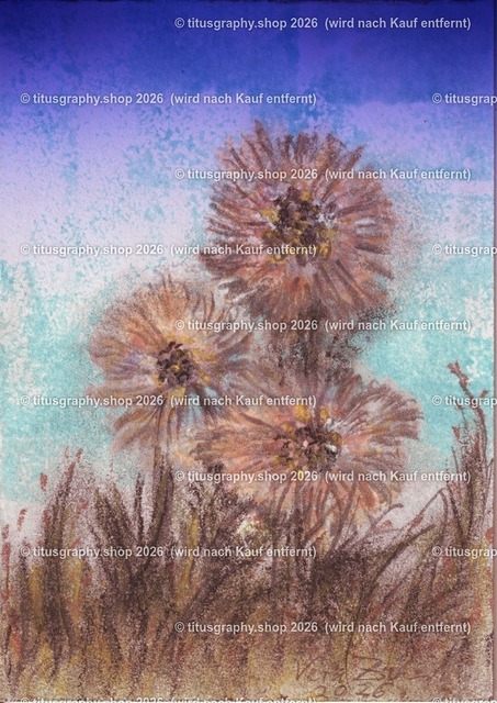 Asterngruß Variation 24 | Zeichnung von Vera Zschecked exclusiv auf titusgraphy.eu - Realisiert mit Pictrs.com