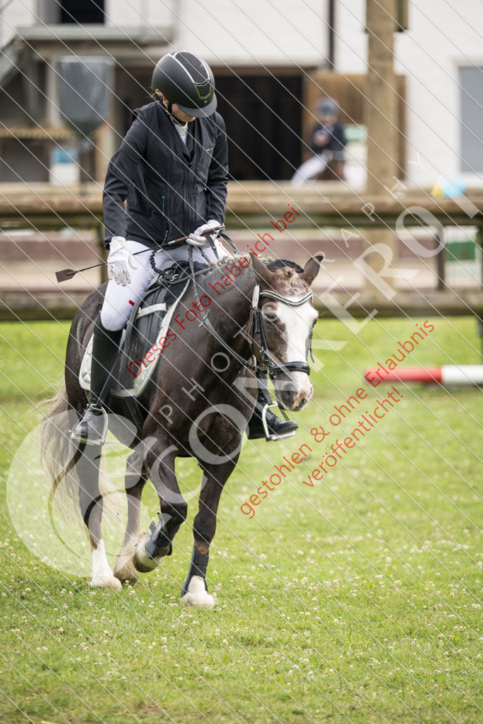 IMG_2751 | Sport-, Event- und Tierfotos in Profiqualität. Einfach auswählen, bestellen und herunterladen. Dein Moment – perfekt festgehalten.