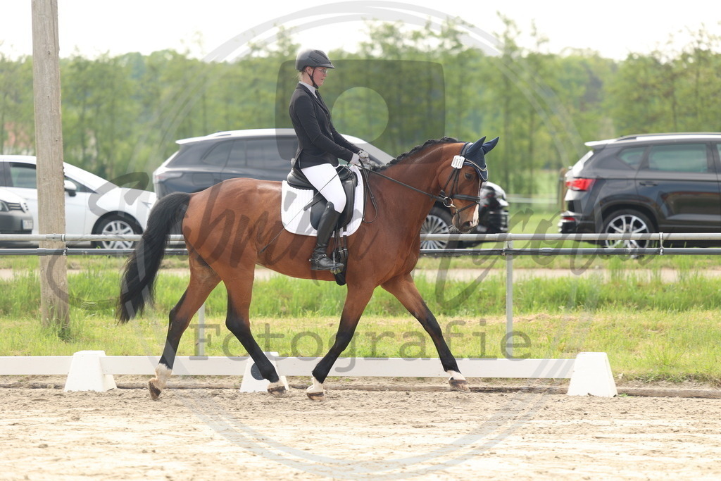 994A6244 | sabrinanicolaifotografie - Realisiert mit Pictrs.com