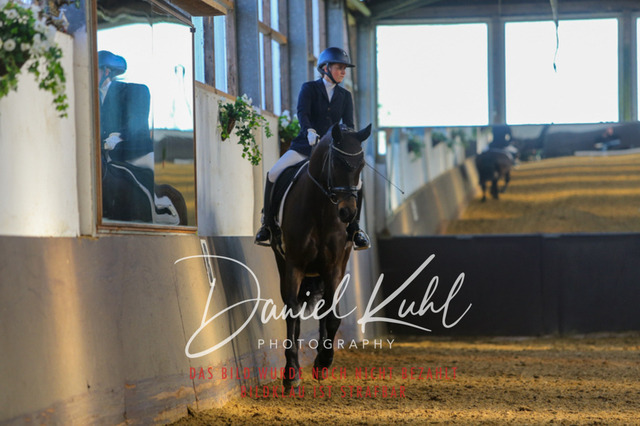 IMG_3136 | Turniersportfotografie; Pferdefotografie; Dressurfotografie