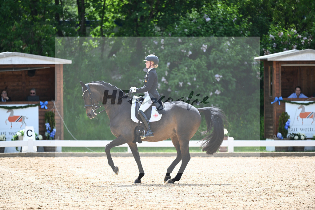 v Bredow-Werndl_TSF Dalera BB_12244412 | hf-fotografie - Realisiert mit Pictrs.com