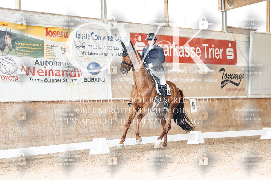 CK901693 | Turnierfotografie Pferdefotografie Trier Rheinland-Pfalz Pferdesport Reitsport Tierfotografie Sportfotografie Pferdevideo Pferdevideografie Equestrianvideography equestrianphotography  - Realisiert mit Pictrs.com