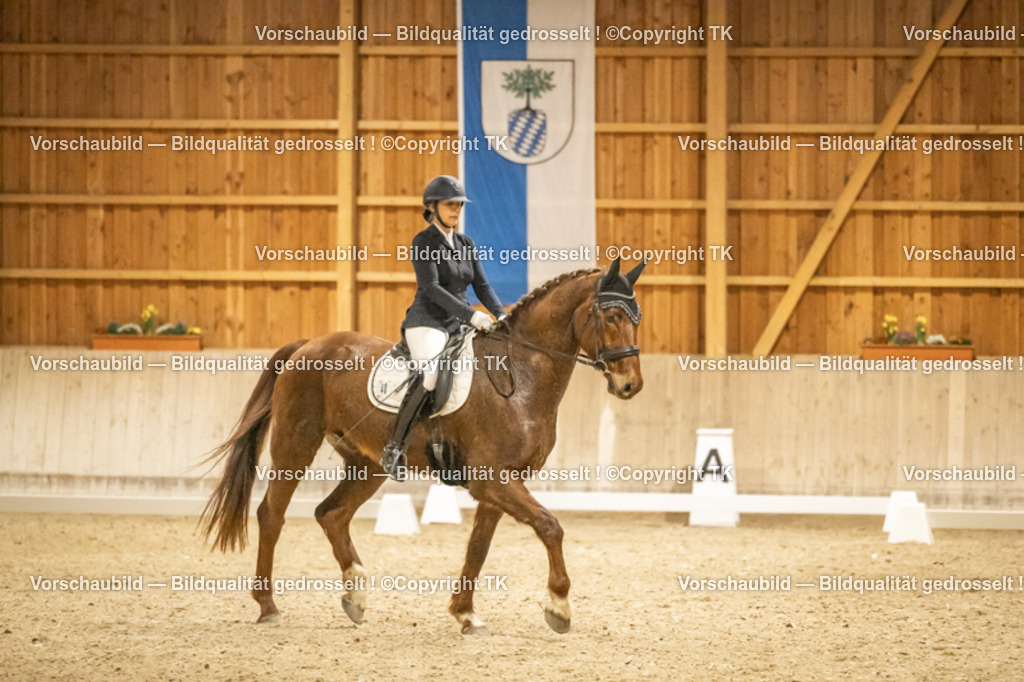 _D5A8079 | Emotionale Pferde- & People-Fotografie rund um Heidelberg, Leimen & Umgebung. Natürliche Fotos von Pferd, Mensch & Familie. Jetzt Termin sichern!