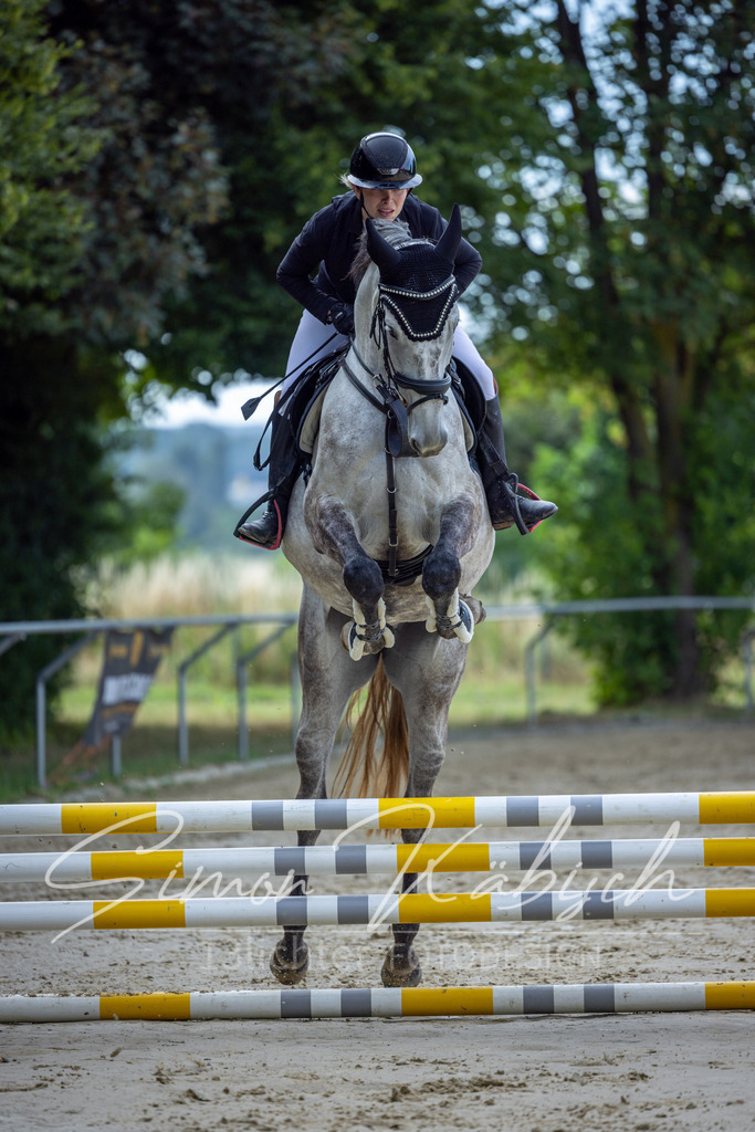 20260704-_3LI6703 | Tierfotografie Pferde, Hunde, Katzen, Haustiere.
Turnierfotografie Reitturniere, Reiten, Springreiten, Dressur in Hanau, dem Main-Kinzig-Kreis und dem Rhein-Main- Gebiet um Frankfurt