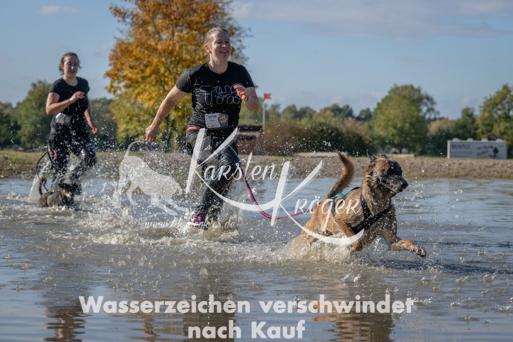 1335_ZZ91093 | kk-dogfotos
