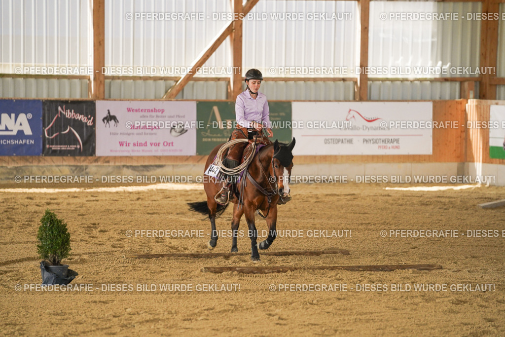 DSC06121 | Pferdegrafie