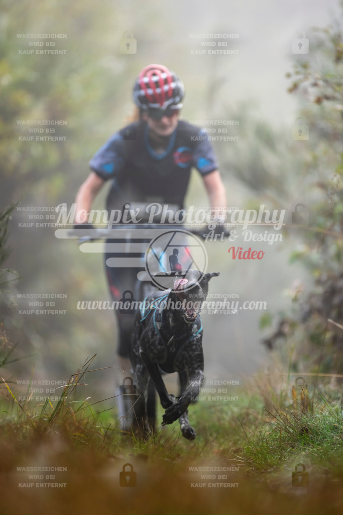 MompixPhotography_20TSB_E4_DS1-6 | PayLife