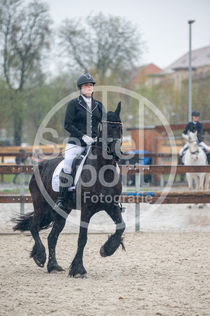 DSC_7236 | sattelsport - Realisiert mit Pictrs.com