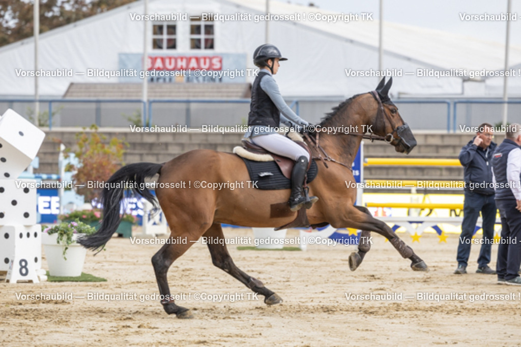_D5A2433 | Emotionale Pferde- & People-Fotografie rund um Heidelberg, Leimen & Umgebung. Natürliche Fotos von Pferd, Mensch & Familie. Jetzt Termin sichern!