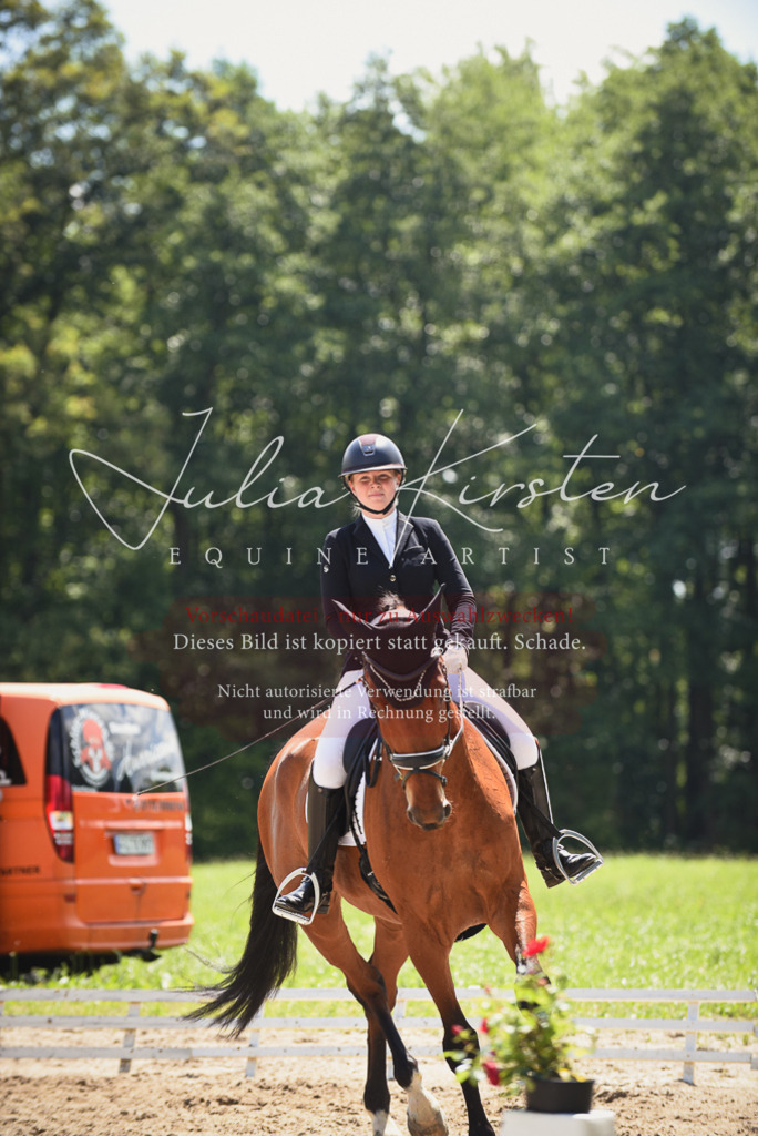 DSC_1322 | Pferde- und Turnierfotografie in Westsachsen. Pferdeportraits, Auftragszeichnungen und intuitive Kunst.