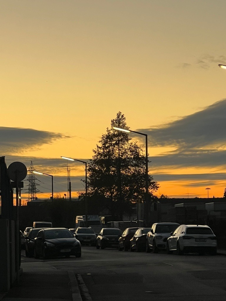 IMG_8986 | ace - Realisiert mit Pictrs.com