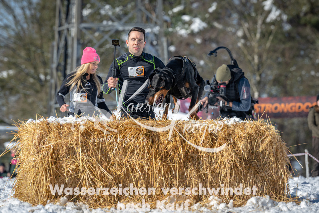 1122_ZZ91728-3 | kk-dogfotos