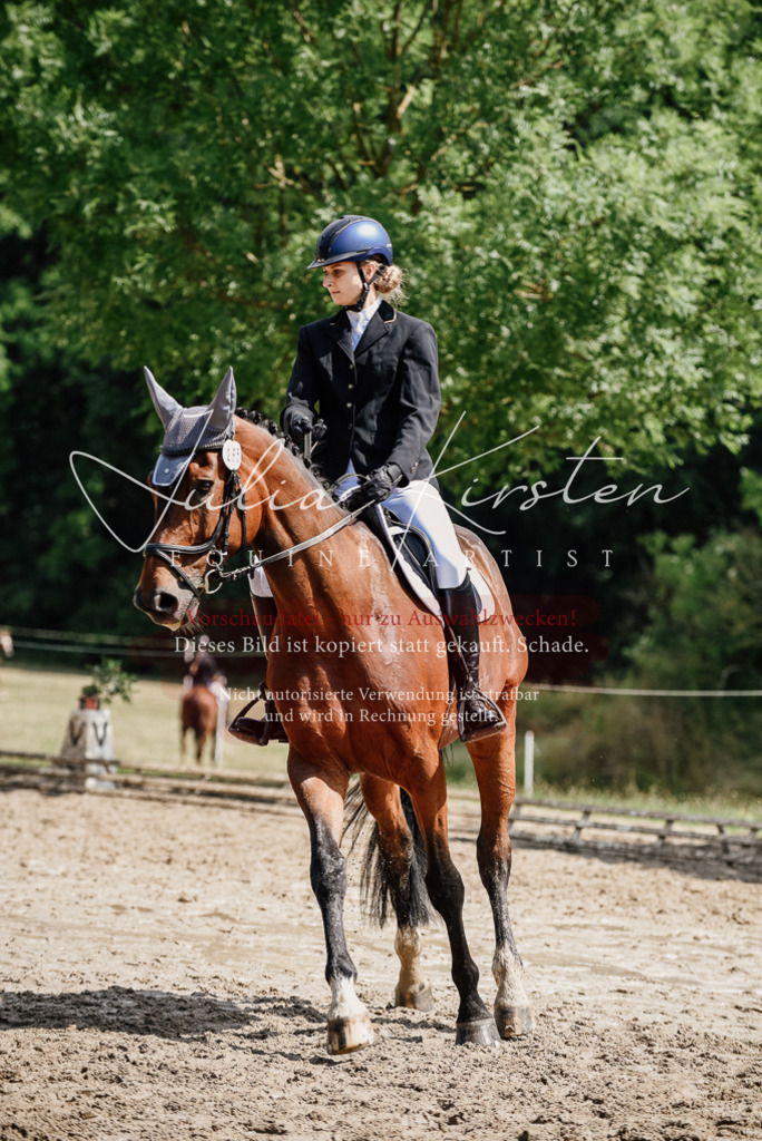 DSC_1121 | Pferde- und Turnierfotografie in Westsachsen. Pferdeportraits, Auftragszeichnungen und intuitive Kunst.