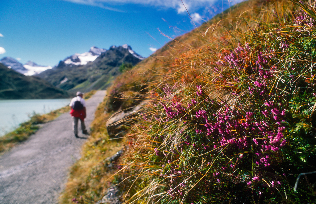 Wanderweg | Austria - December 13, 2010: Wanderweg. - Realisiert mit Pictrs.com