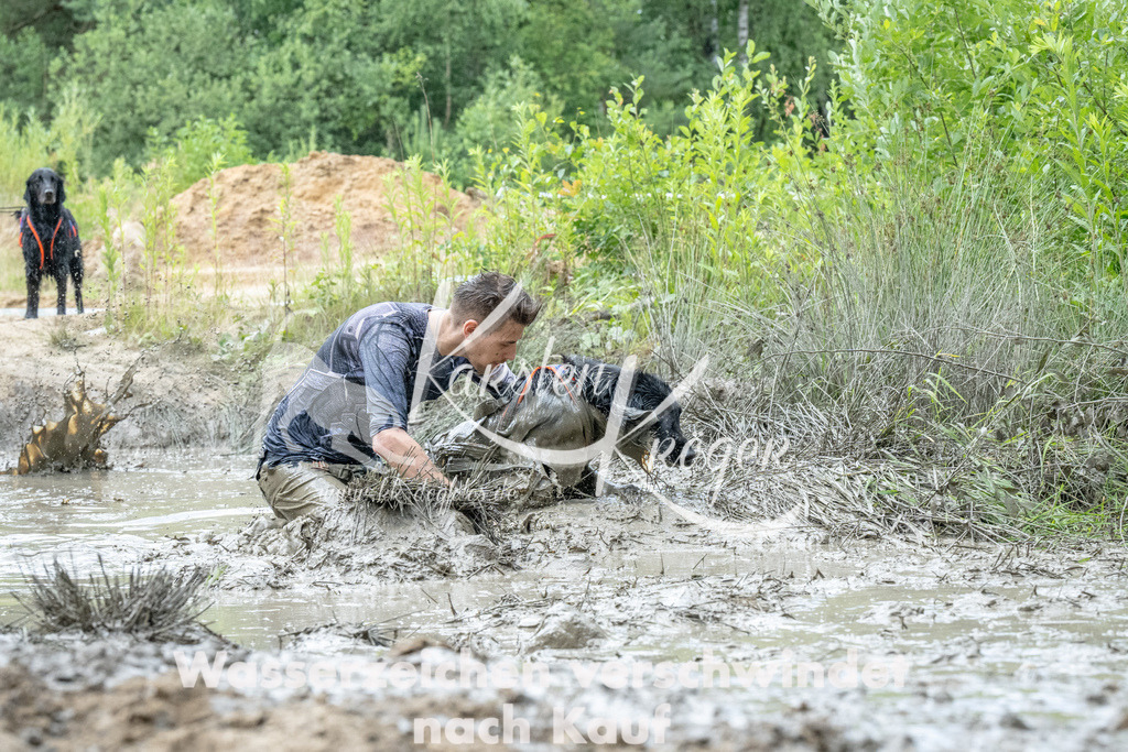 0941_ZZ94213 | kk-dogfotos