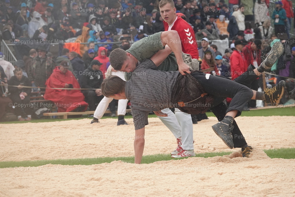 DSC03913 | Schwingen - Realisiert mit Pictrs.com