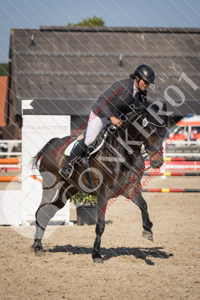 IMG_4176 | Sport-, Event- und Tierfotos in Profiqualität. Einfach auswählen, bestellen und herunterladen. Dein Moment – perfekt festgehalten.