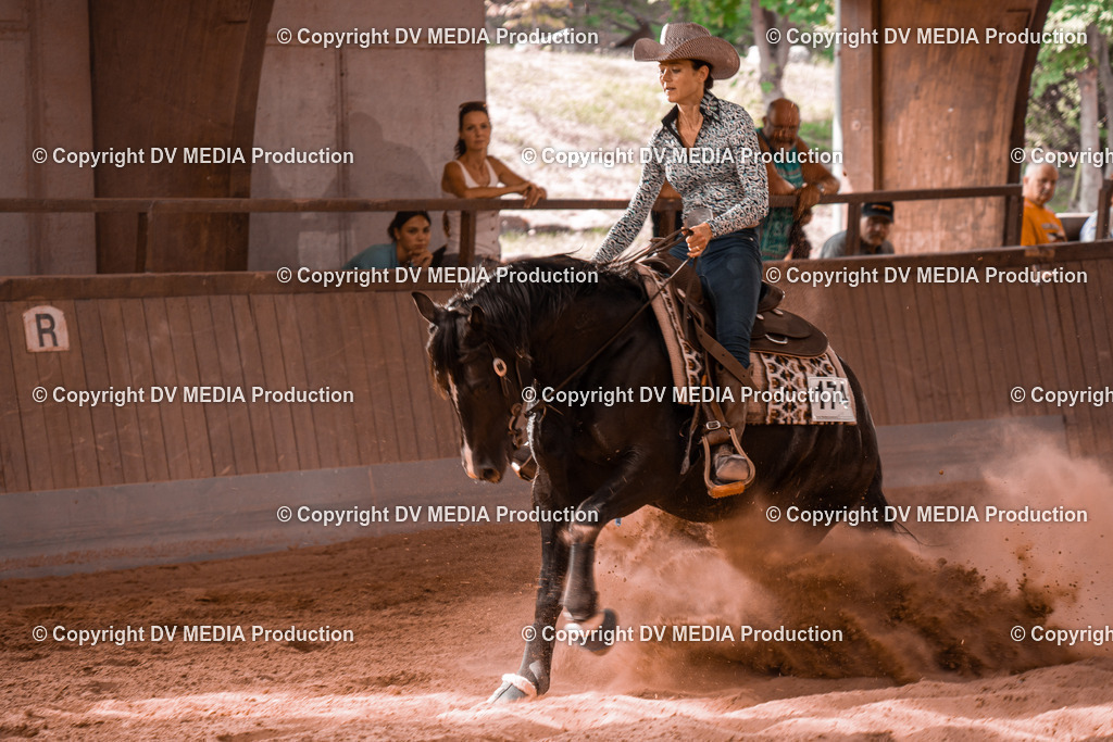 NE300744 | dv-media-shop - Realisiert mit Pictrs.com