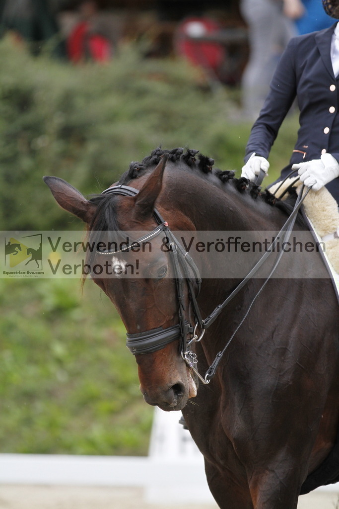 _MG_5474 | equestrian-live-com