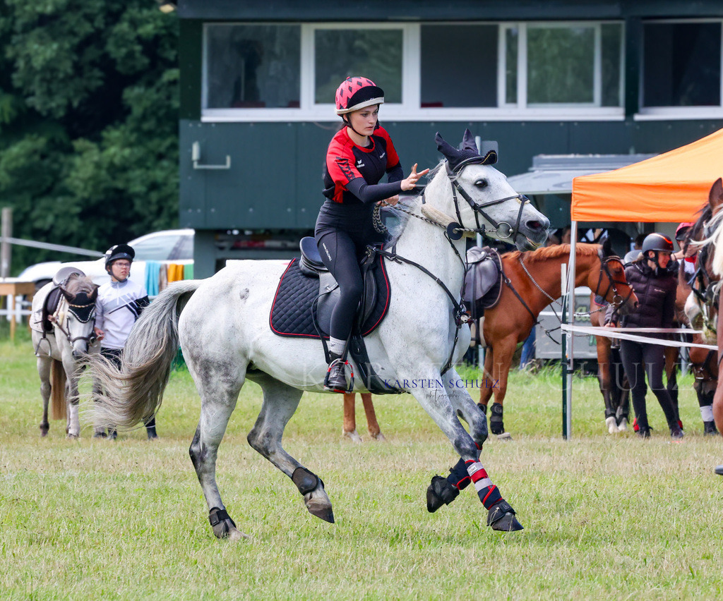 1B3A2111 | Reitsport Reiten