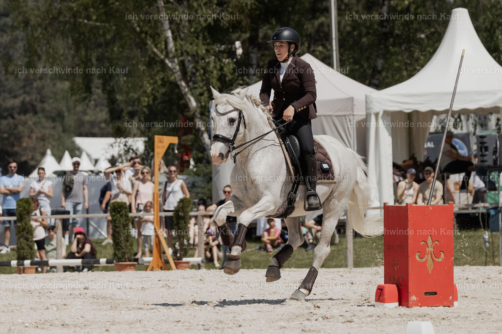 WE_SP_Stoib_318_PI2025_2072 | Pferd International München 2025