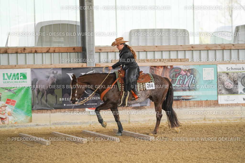 DSC02372 | Pferdegrafie