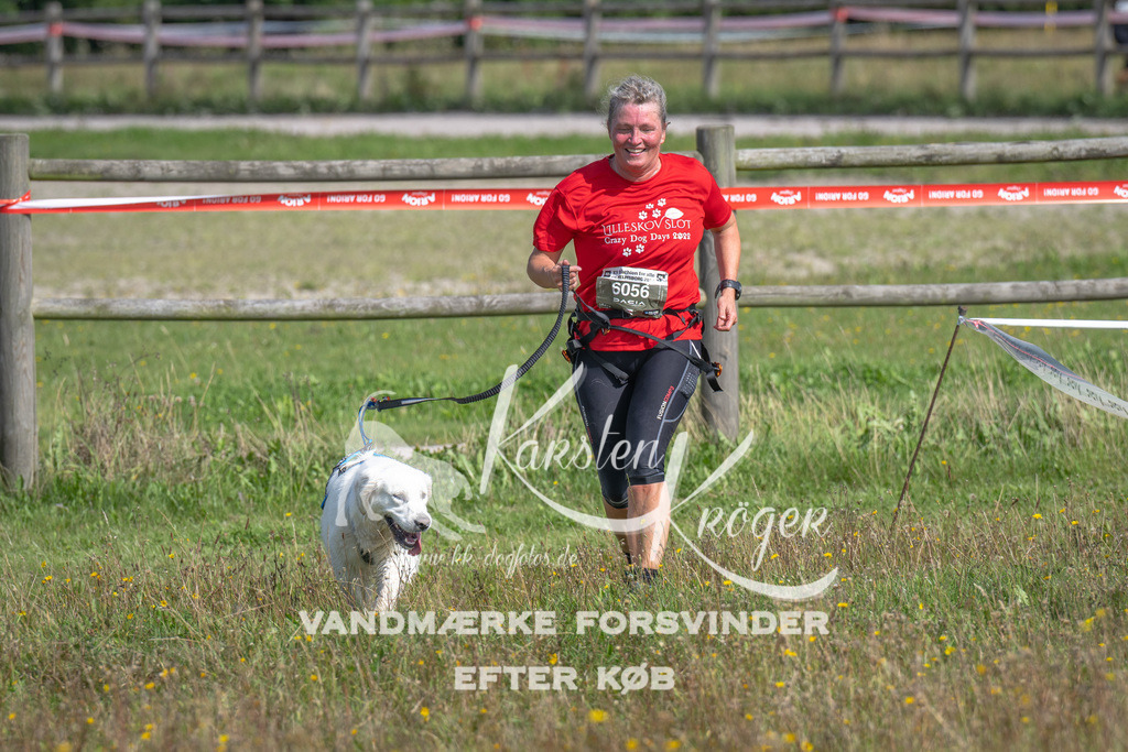 1205_ZZ91170 | kk-dogfotos