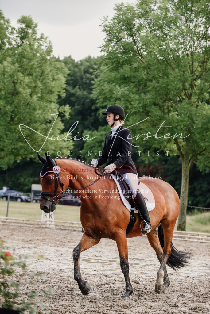 DSC_9746 | Pferde- und Turnierfotografie in Westsachsen. Pferdeportraits, Auftragszeichnungen und intuitive Kunst.