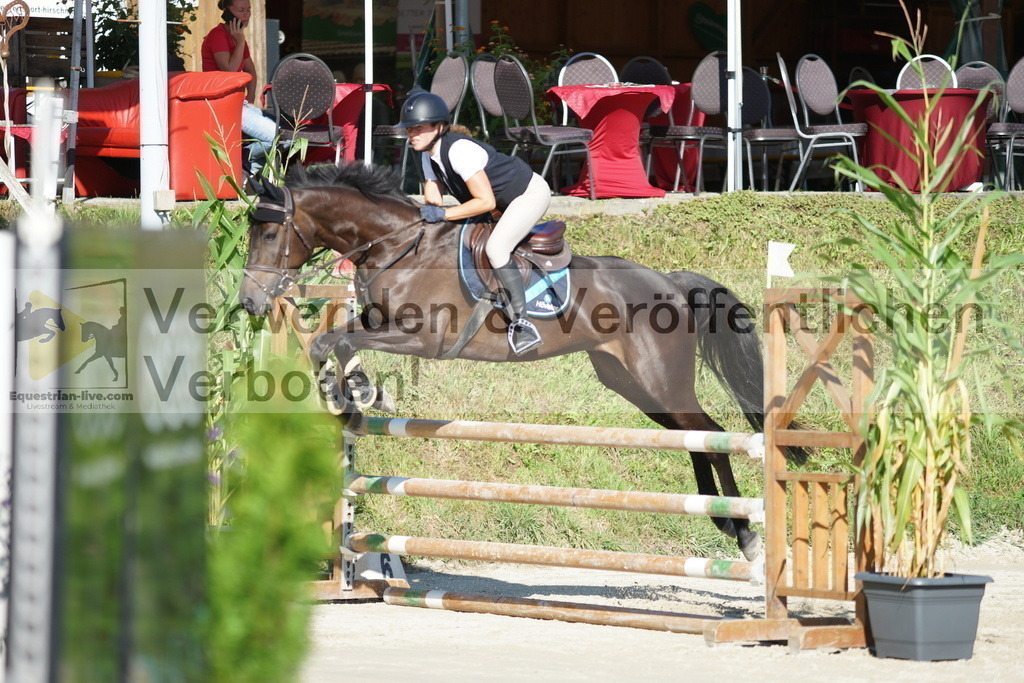 DSC02269 | equestrian-live-com