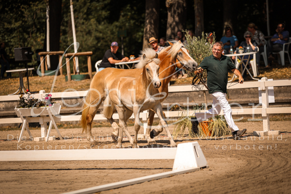 06.DoH00002 | Leoni Ertmer Photography - Realisiert mit Pictrs.com