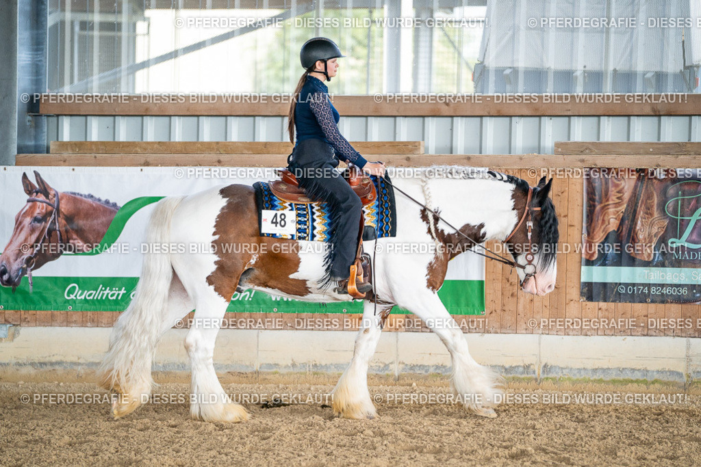 DSC08135 | Pferdegrafie