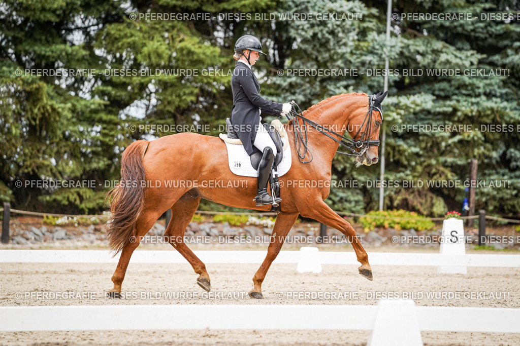 DSC05153 | Pferdegrafie