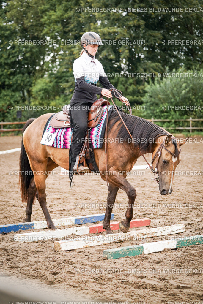 DSC04565 | Pferdegrafie