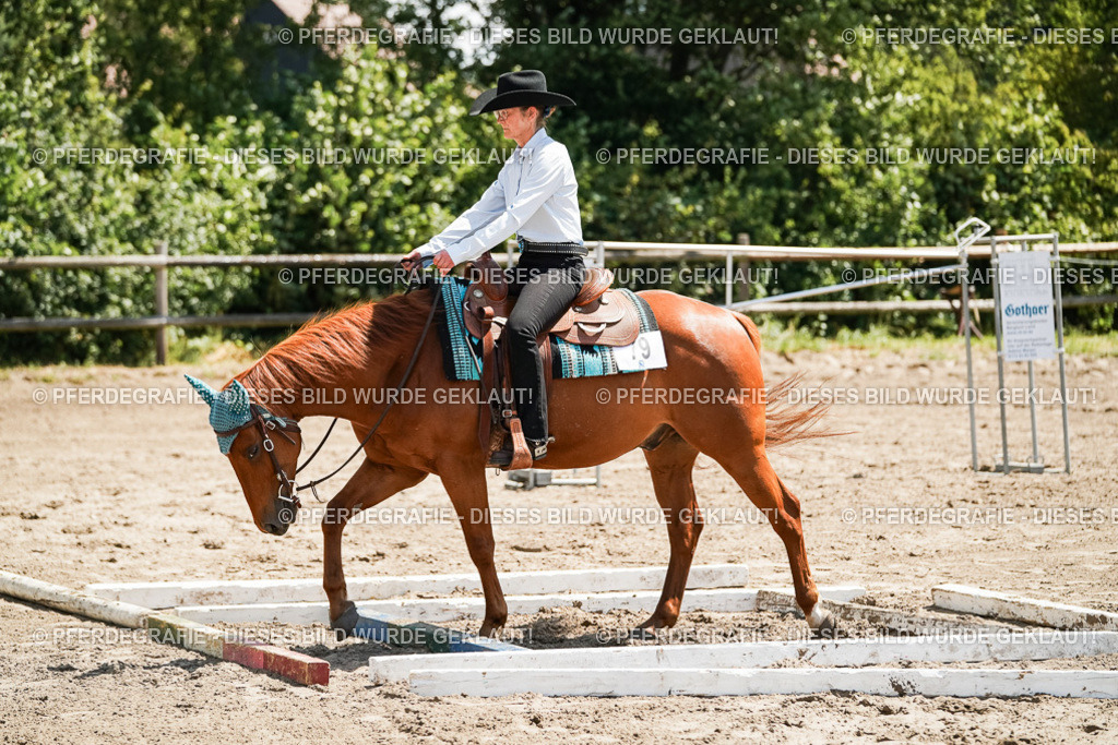 DSC07359 | Pferdegrafie