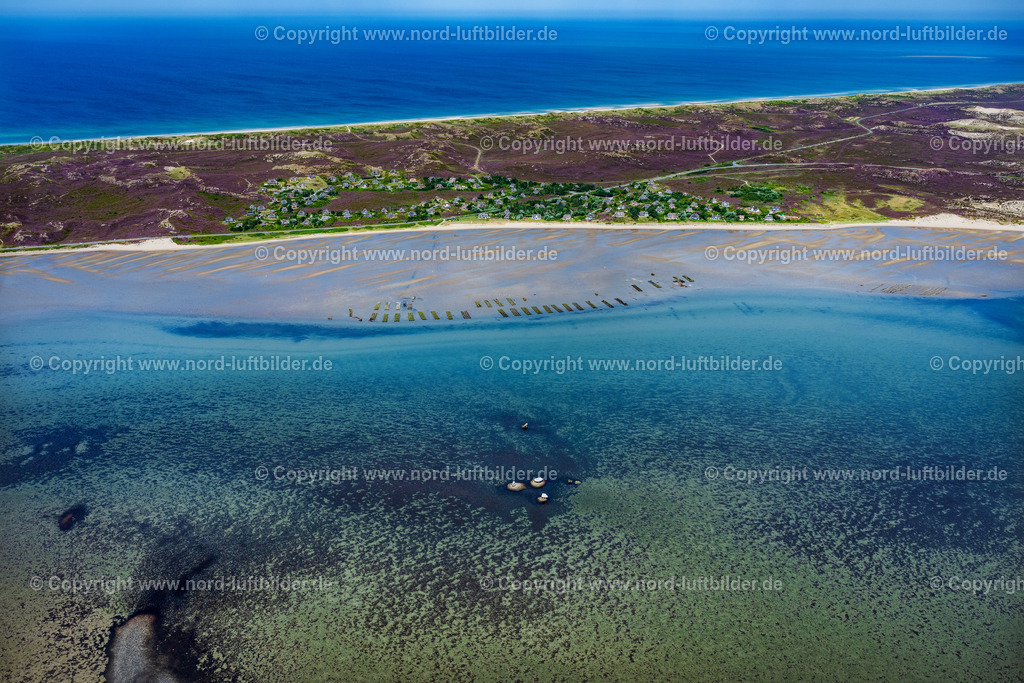 Sylt_List_Wattenmeer_Austernzucht_Sylter_Royal_Dittmeyers_Austernzucht_Companie_ELS_8886130825 | LIST 13.08.2025 Wattenmeer der Nordsee- Küste mit Austern-Zucht-Bänken "Sylter Royal" in List im Bundesland Schleswig-Holstein, Deutschland. Weiterführende Informationen bei: Dittmeyer's Austern-Compagnie GmbH. // Wadden Sea of the North Sea coast with oyster breeding banks "Sylter Royal" in List in the federal state of Schleswig-Holstein, Germany. Further information at: Dittmeyer's Austern-Compagnie GmbH. Foto: Martin Elsen