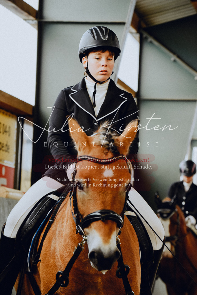 DSC_7277 | Pferde- und Turnierfotografie in Westsachsen. Pferdeportraits, Auftragszeichnungen und intuitive Kunst.