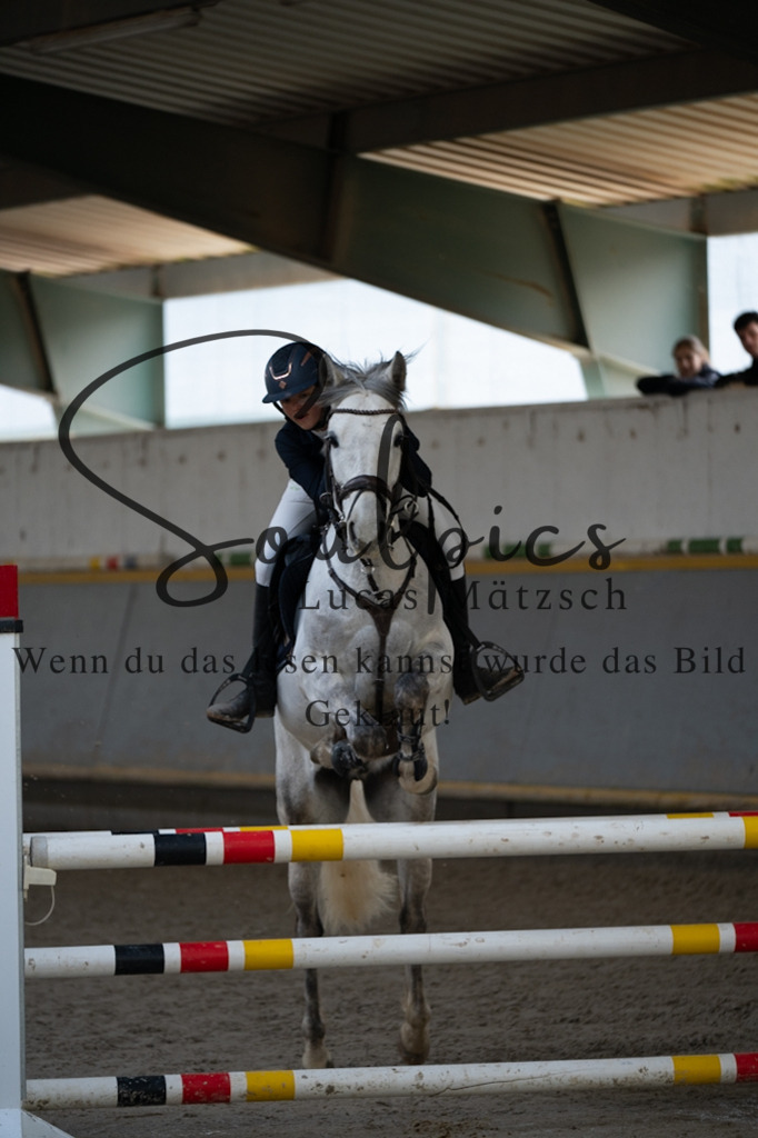 A7V08271 | Pferdefotograf