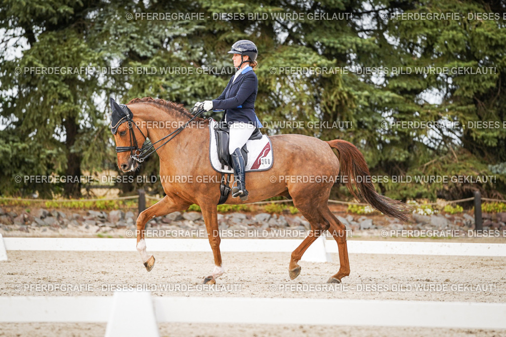 DSC08766 | Pferdegrafie