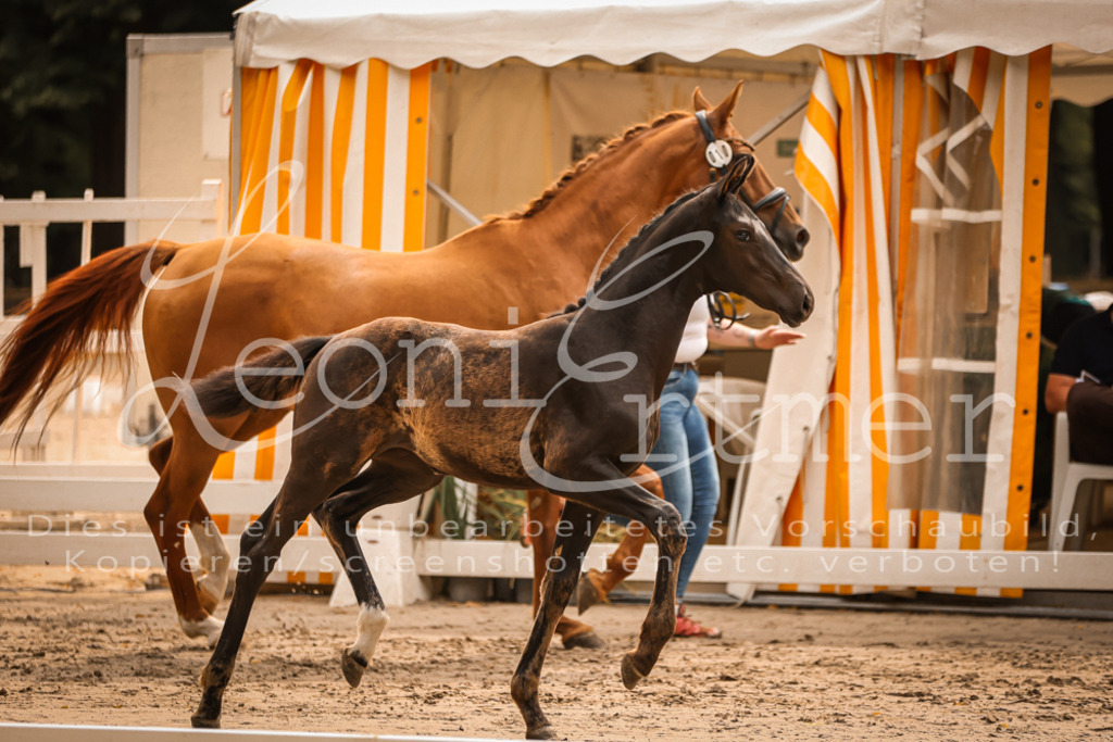 SaPA00150 | Leoni Ertmer Photography - Realisiert mit Pictrs.com